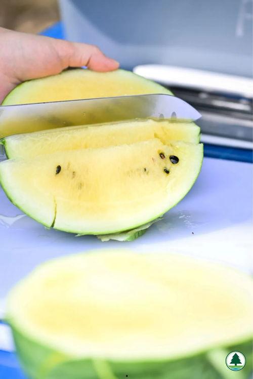 coming吃瓜,网络热词背后的故事与影响