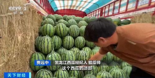 鹿邑吃瓜吧,揭秘当地特色美食文化