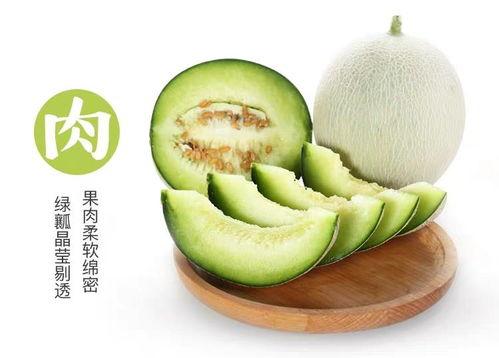 吃网纹瓜的博主,博主带你领略夏日清新滋味