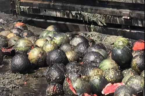 吨姐理性吃瓜,吨姐教你如何成为吃瓜高手