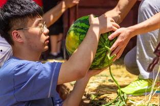 大学吃瓜墙,大学吃瓜墙背后的热点事件大盘点