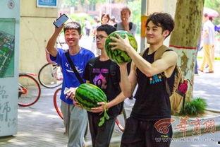 大学吃瓜墙,大学吃瓜墙背后的热点事件大盘点