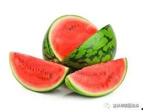 梦见树瓜和吃树瓜,树瓜的奇幻之旅与美味诱惑