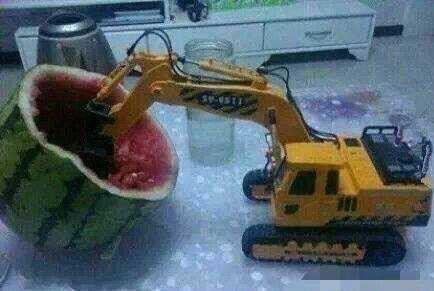 山东技校吃瓜,揭秘校园里的“瓜田”趣闻