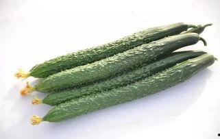 瓜吃脑袋,揭秘“吃脑袋”的神秘瓜种之谜