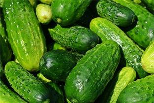 梦见吃黄兰瓜,黄兰瓜的神秘诱惑