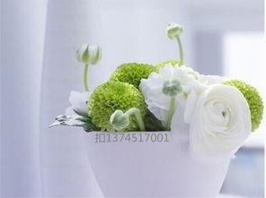 吃瓜肚脐疼,揭秘肚脐不适的神秘现象