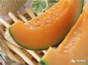 农民吃哈密瓜视频,农民丰收喜悦，哈密瓜视频走红网络