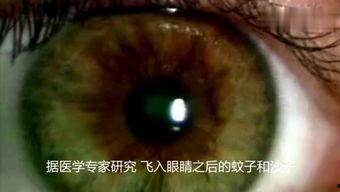 吃瓜看到虫子的视频,惊悚瞬间！吃瓜群众目睹瓜中惊现虫子