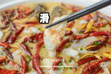 带你吃瓜绿鱼头,带你吃瓜解锁神秘鱼头风味