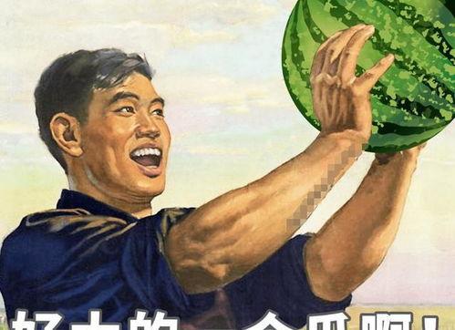 年轻的吃瓜老头,年轻吃瓜老头的趣味人生解码