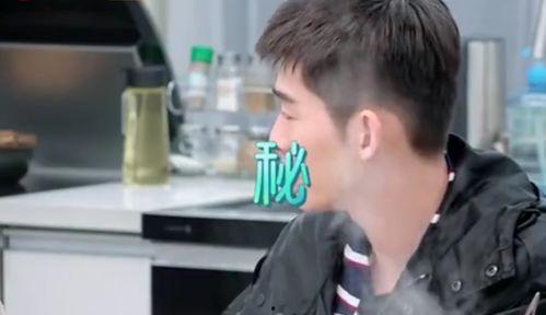 吃瓜星球张翰,吃瓜星球上的娱乐风云人物