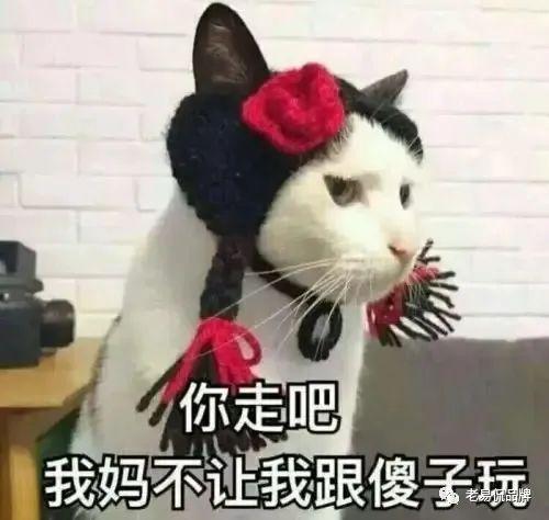 吃瓜头像堆糖,吃瓜头像堆糖，解锁夏日趣味瞬间