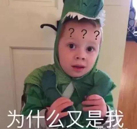 吃瓜头像堆糖,吃瓜头像堆糖，解锁夏日趣味瞬间