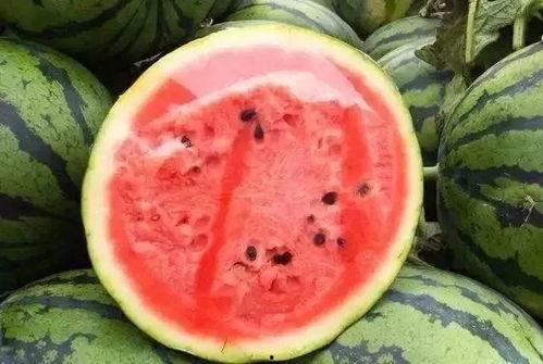 会吃瓜就会切瓜,瓜界高手养成记