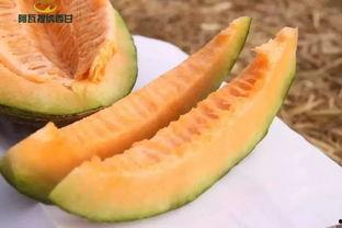 福大发吃瓜,揭秘校园热点事件背后的真相