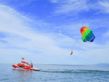 河口区吃瓜,夏日消暑美食之旅