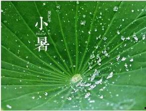 吃瓜古诗会,一瓜一世界，一诗一境界